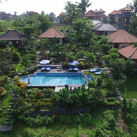 Villa Capung Mas Ubud Extérieur photo