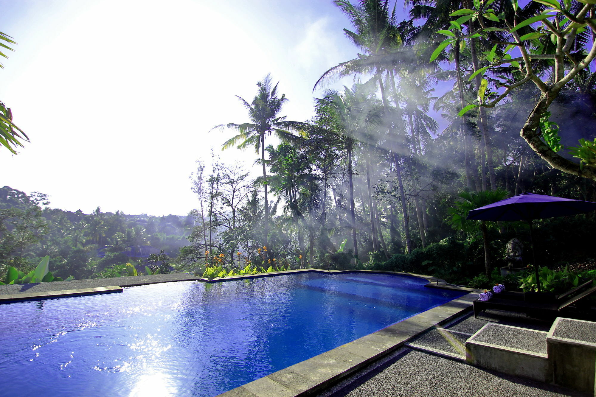 Villa Capung Mas Ubud Extérieur photo