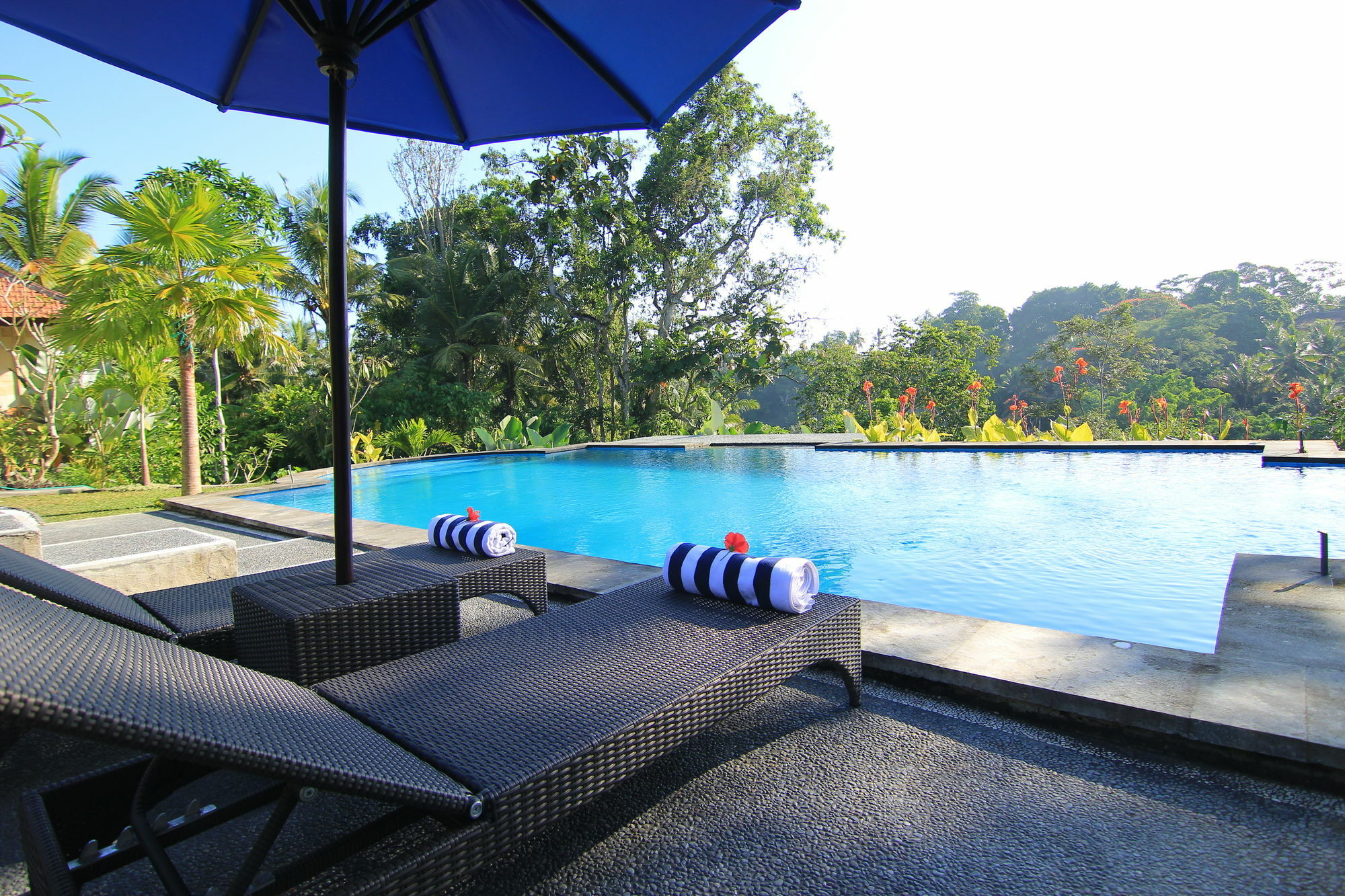 Villa Capung Mas Ubud Extérieur photo