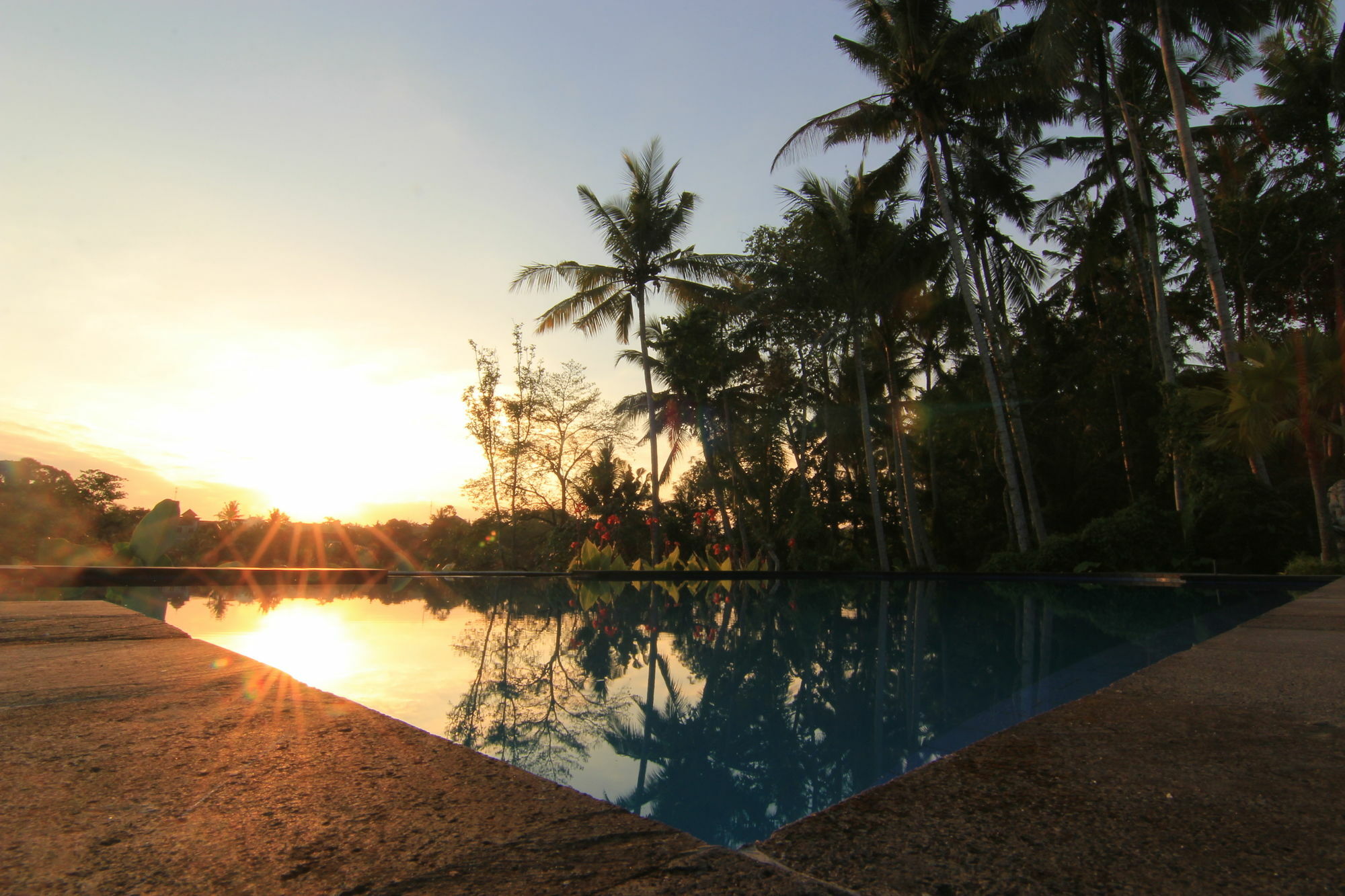 Villa Capung Mas Ubud Extérieur photo