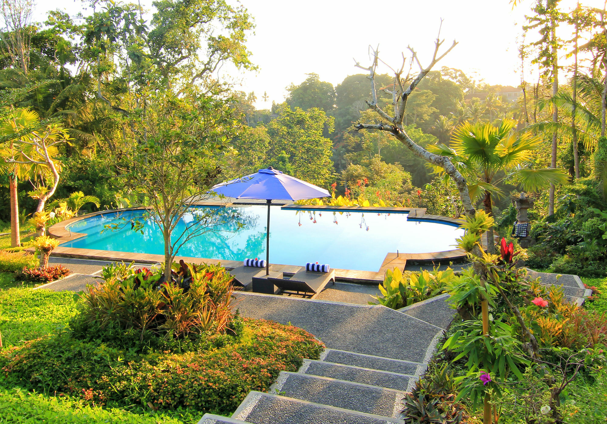 Villa Capung Mas Ubud Extérieur photo