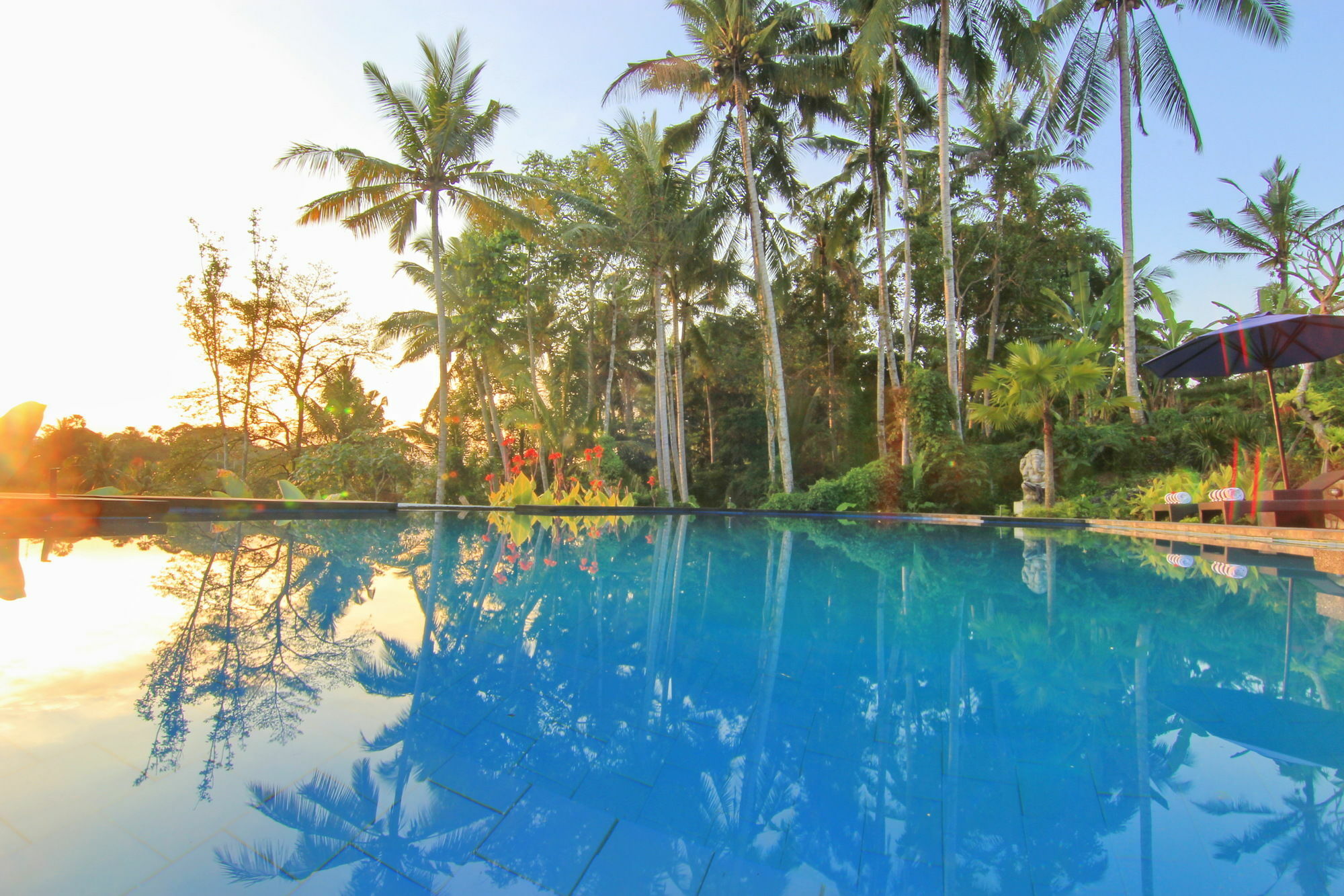 Villa Capung Mas Ubud Extérieur photo