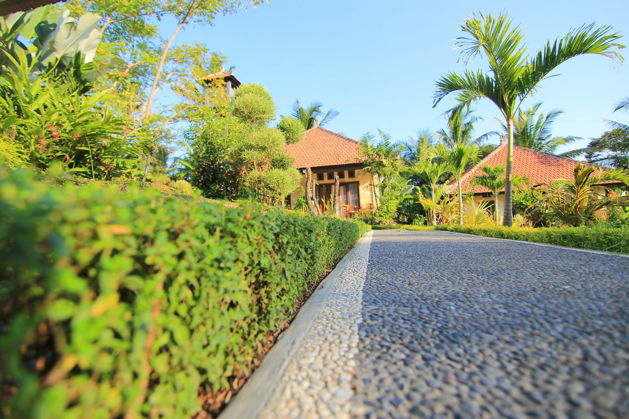 Villa Capung Mas Ubud Extérieur photo